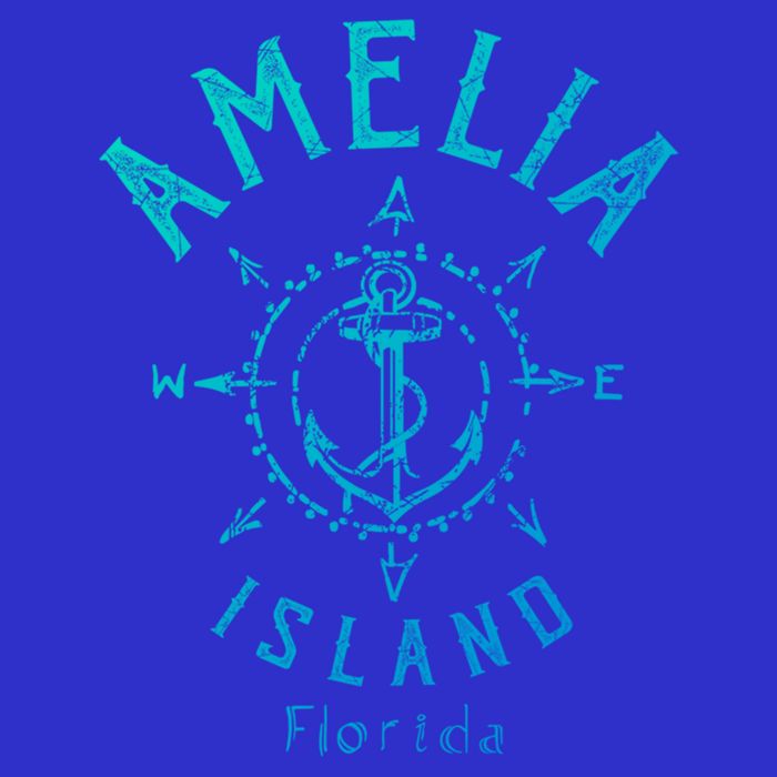 Amelia Island Compass Rose Florida Cute Gift Kids T-Shirt