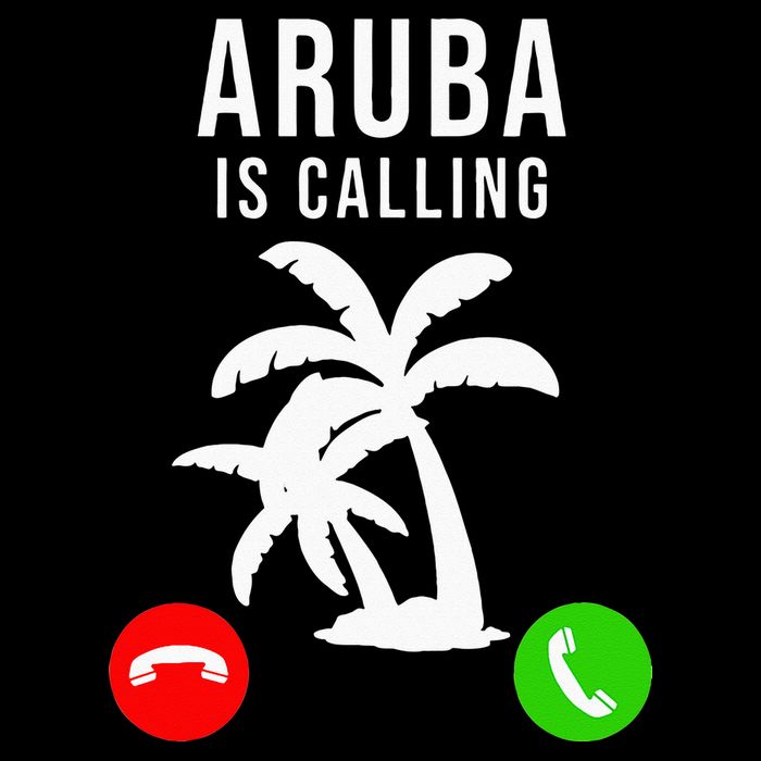Aruba Is Calling Funny Vacation Souvenir Holiday Aruba Toddler T-Shirt