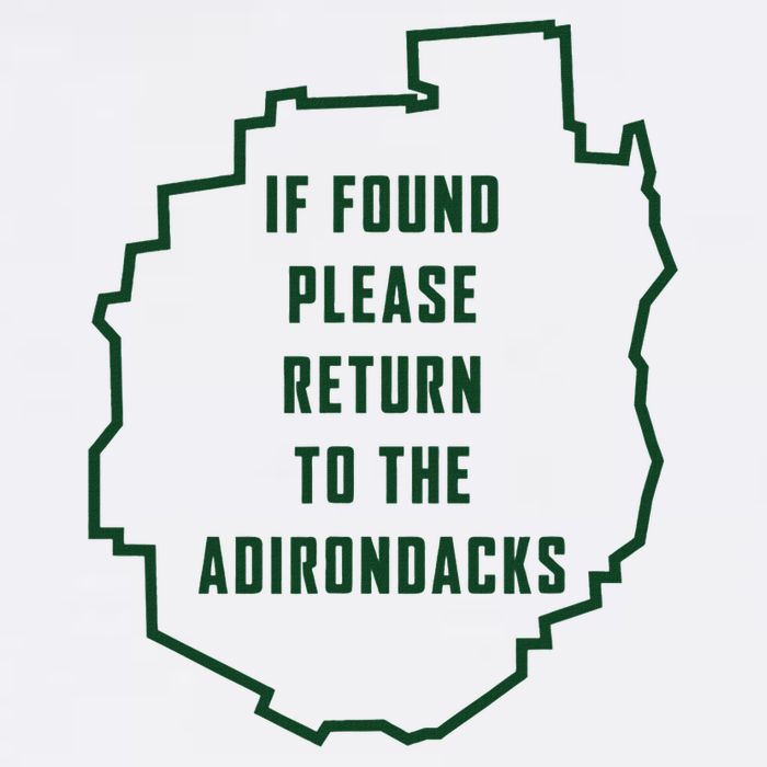 Adirondacks If Found Please Return To Adirondacks Button