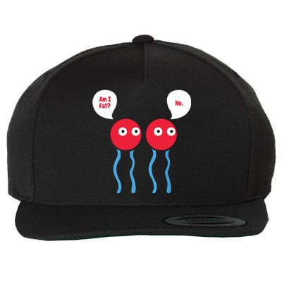 Am I Fat Funny Lipid Cell Biology Science Pun Wool Snapback Cap