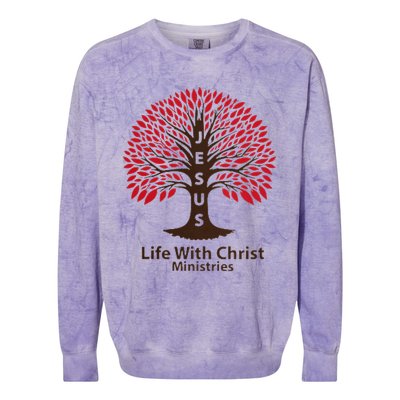 All In Glitch Design Jesus Life With Christ Ministries Colorblast Crewneck Sweatshirt