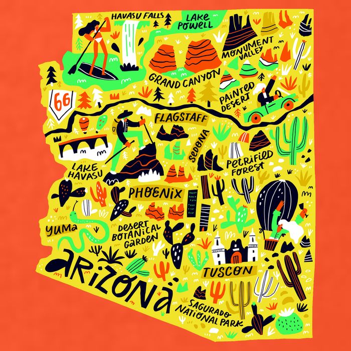 Arizona Infographic Hand Drawn Map T-Shirt