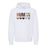 All Inclusive Hearts Blm Racial Justice Human Equality Top Premium Hoodie