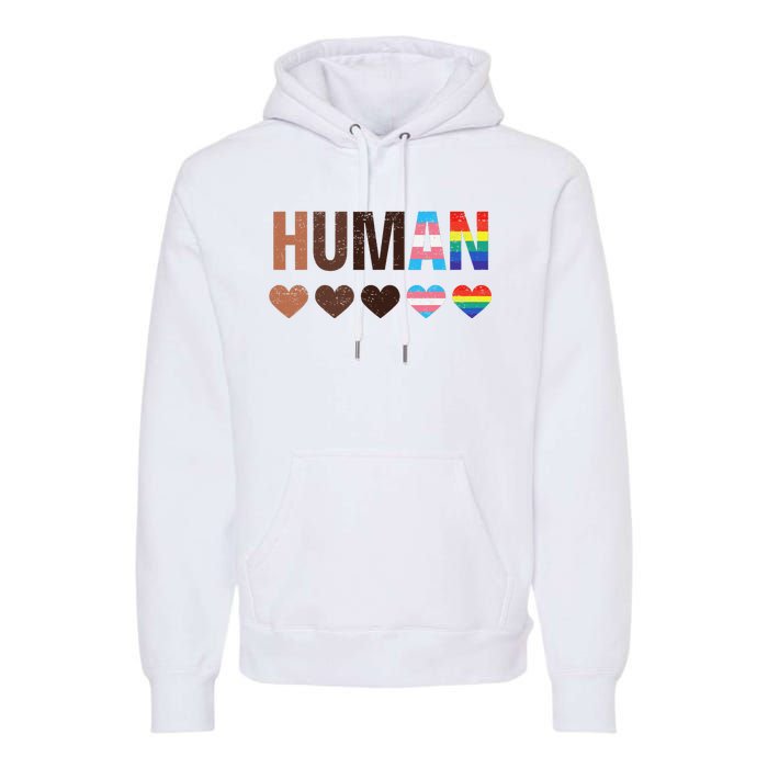 All Inclusive Hearts Blm Racial Justice Human Equality Top Premium Hoodie