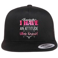 Apparently I Have An Attitude Who Knew Funny Sarcastic Gift Flatbill Hat