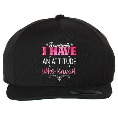 Apparently I Have An Attitude Who Knew Funny Sarcastic Gift Wool Snapback Cap