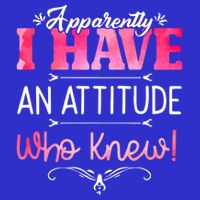 Apparently I Have An Attitude Who Knew Funny Sarcastic Gift Stripe Pom Pom Beanie
