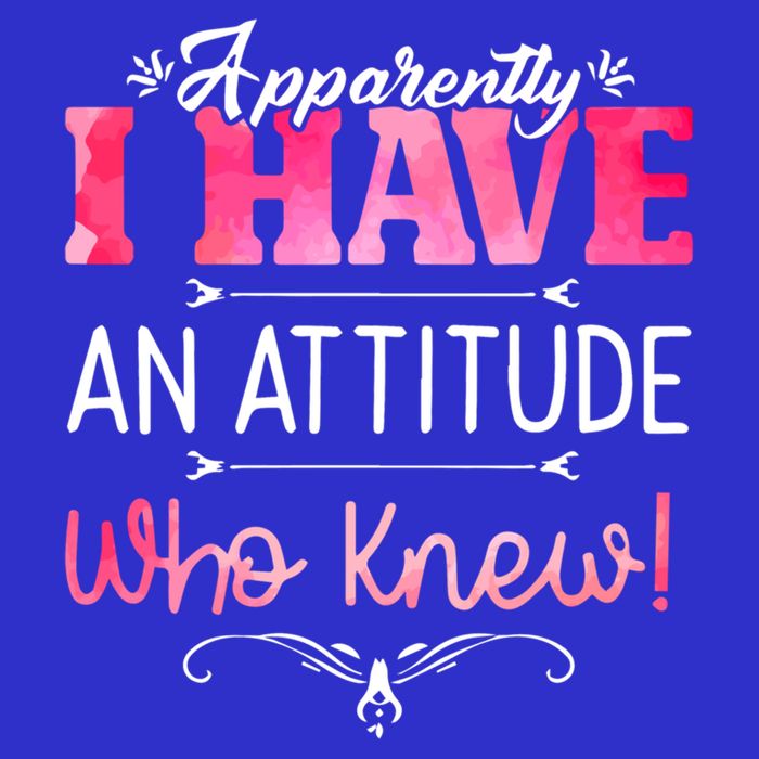 Apparently I Have An Attitude Who Knew Funny Sarcastic Gift Stripe Pom Pom Beanie