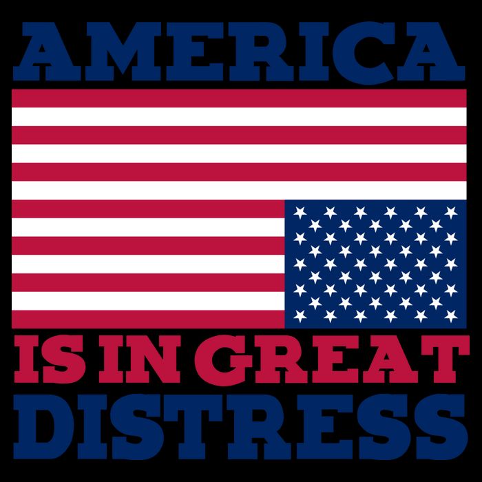 America Is In Great Distress Upside Down Flag City Backpack
