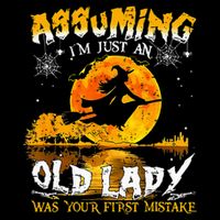 Assuming Im Just An Old Lady Magnet
