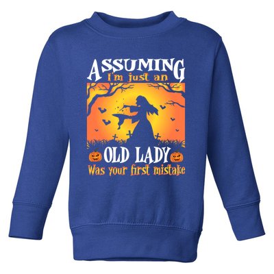 Assuming Im Just An Old Lady Was Your First Mistake Witch Cute Gift Toddler Sweatshirt