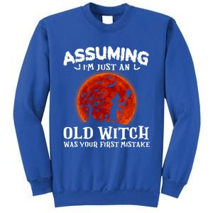 Assuming Im Just An Old Witch Was Your First Mistake Gift Sweatshirt