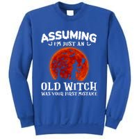 Assuming Im Just An Old Witch Was Your First Mistake Gift Sweatshirt