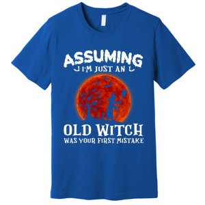 Assuming Im Just An Old Witch Was Your First Mistake Gift Premium T-Shirt