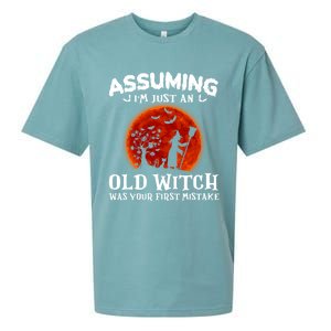 Assuming Im Just An Old Witch Was Your First Mistake Gift Sueded Cloud Jersey T-Shirt