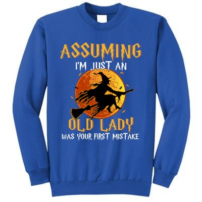 Assuming Im Just An Old Lady Was Your First Mistake Witch Gift Sweatshirt