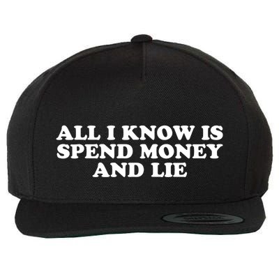 All I Know Is Spend Money And Lie Funny Humor Wool Snapback Cap