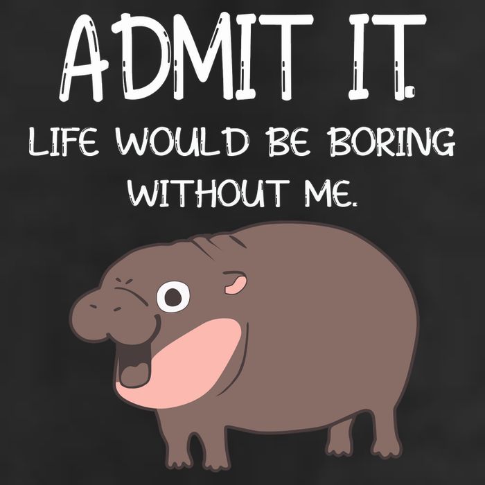Admit It Life Would Be Boring Without Me Funny Moo Deng Cool Comfort Performance Bucket Hat