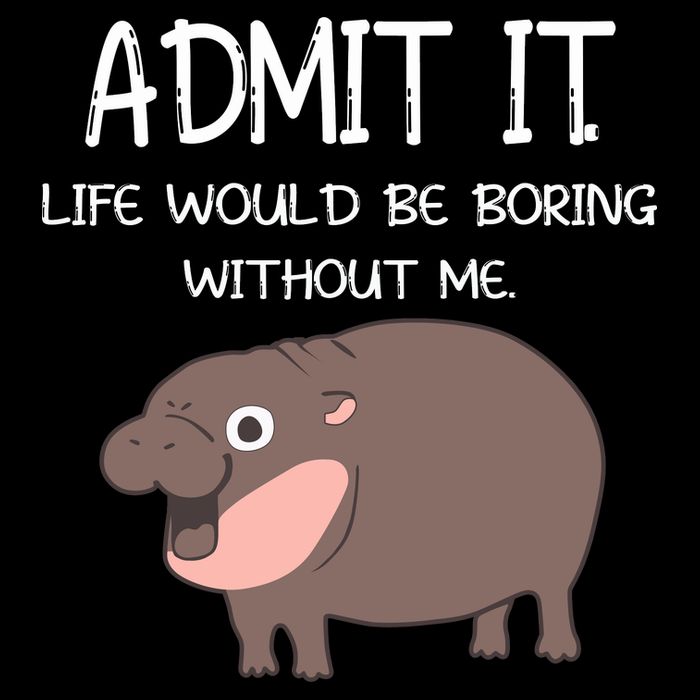 Admit It Life Would Be Boring Without Me Funny Moo Deng T-Shirt