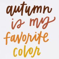 Autumn Is My Favorite Color Hoodie