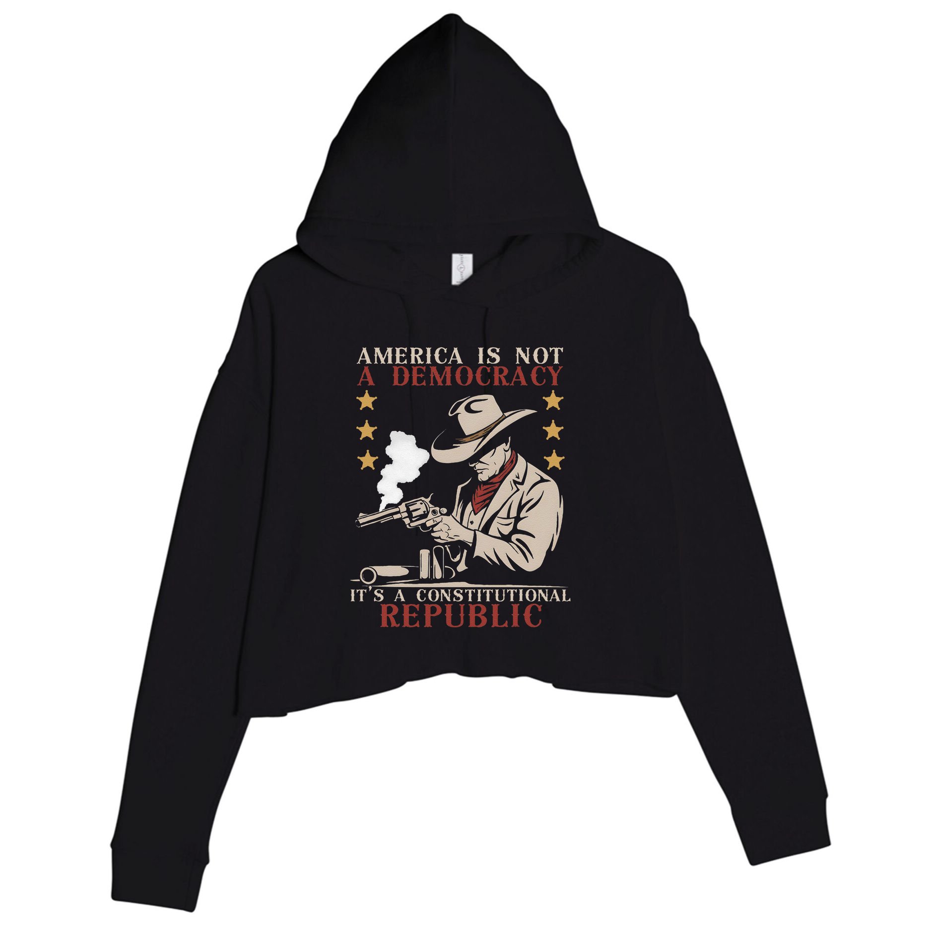 America Is Not A Democracy ItS A Constitutional Republic Crop Fleece Hoodie