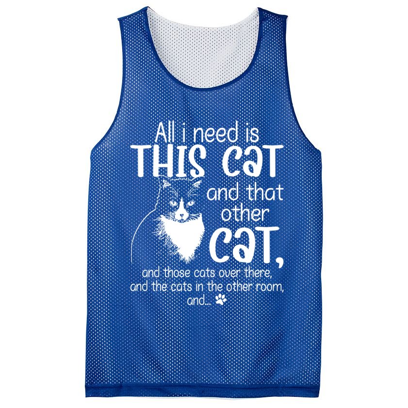 All I Need Is This Cat And That Other Cat And Those Cats Funny Gift Mesh Reversible Basketball Jersey Tank