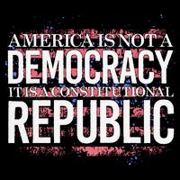 America Is Not A Democracy ItS A Constitutional Republic Sustainable Bucket Hat