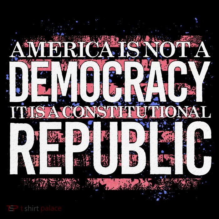 America Is Not A Democracy ItS A Constitutional Republic Cooling Performance Long Sleeve Crew