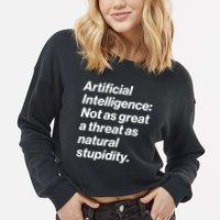 Artificial Intelligence Not As Great A Threat As Natural Stupidity Cropped Pullover Crew