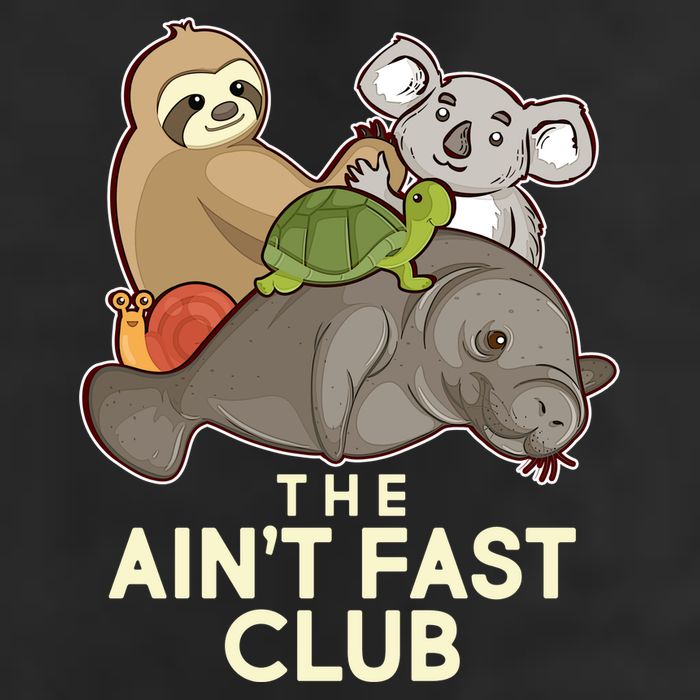 Ain't Fast Club Funny Animal 7 Panel Mesh Trucker Snapback Hat