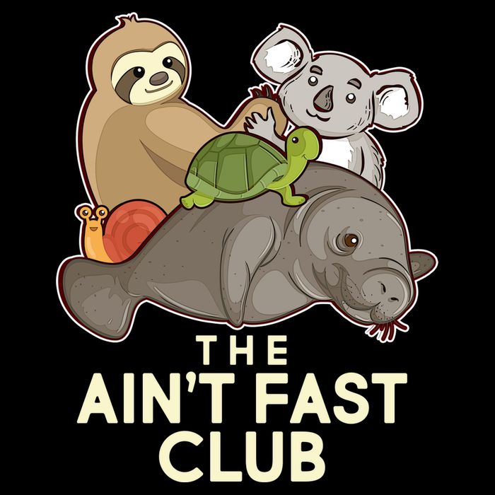 Ain't Fast Club Funny Animal Cropped Pullover Crew
