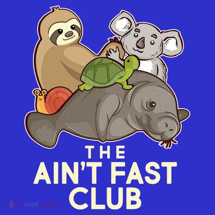 Ain't Fast Club Funny Animal Ladies Essential Flowy Tank