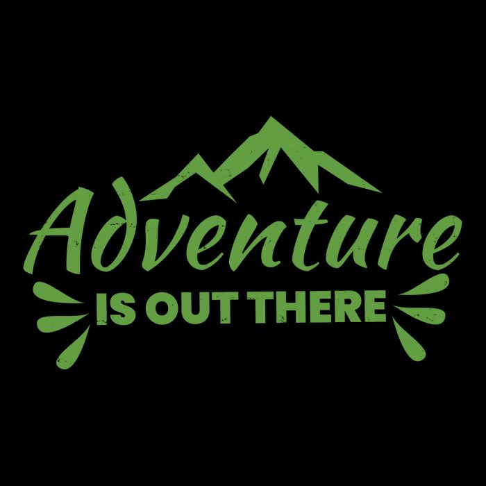 Adventure Is Out There Mountain Camping 16 in Basic Backpack