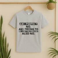 Am I Perfect No Am I Trying To Be A Better Person Also No T-Shirt