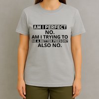 Am I Perfect No Am I Trying To Be A Better Person Also No T-Shirt