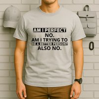 Am I Perfect No Am I Trying To Be A Better Person Also No T-Shirt