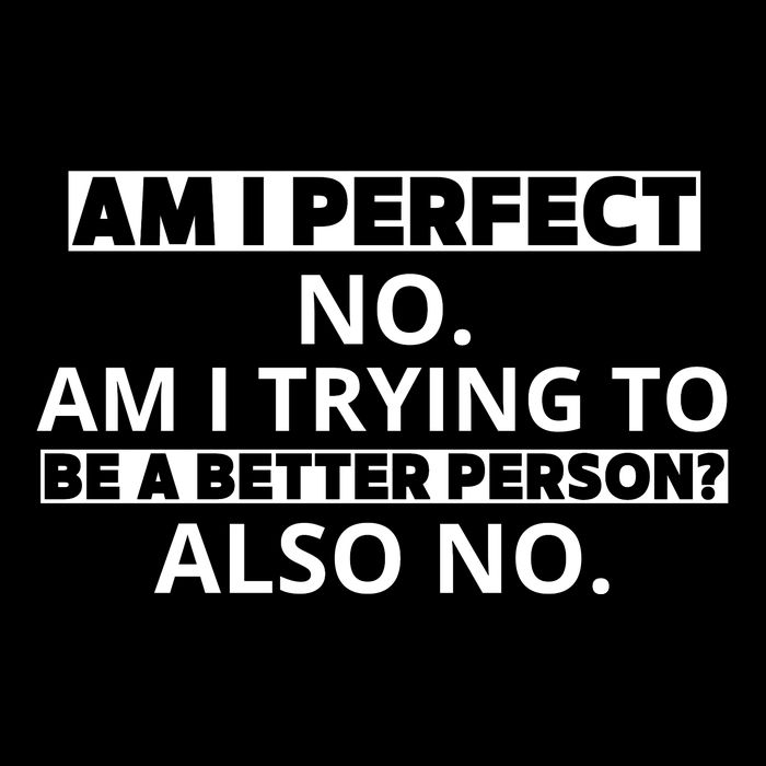 Am I Perfect No Am I Trying To Be A Better Person Also No Button