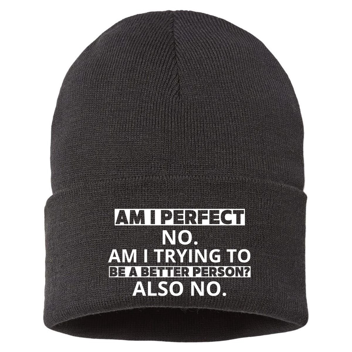 Am I Perfect No Am I Trying To Be A Better Person Also No Sustainable Knit Beanie
