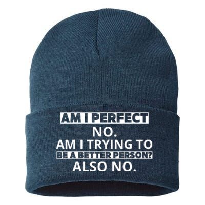 Am I Perfect No Am I Trying To Be A Better Person Also No Sustainable Knit Beanie