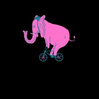 Anything Is Possible Elephant Bicycle 16oz Travel Tumbler