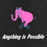Anything Is Possible Elephant Bicycle Microfiber Hand Towel
