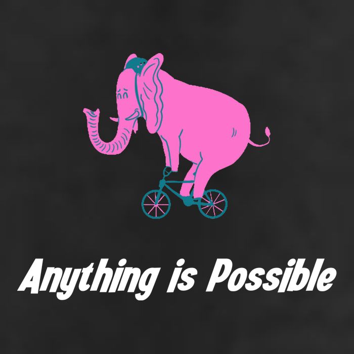 Anything Is Possible Elephant Bicycle Microfiber Hand Towel