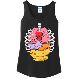 Anatomicat Is Perfect For Cat Lovers Ladies Essential Tank