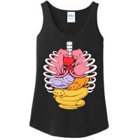 Anatomicat Is Perfect For Cat Lovers Ladies Essential Tank