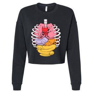 Anatomicat Is Perfect For Cat Lovers Cropped Pullover Crew