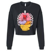 Anatomicat Is Perfect For Cat Lovers Cropped Pullover Crew