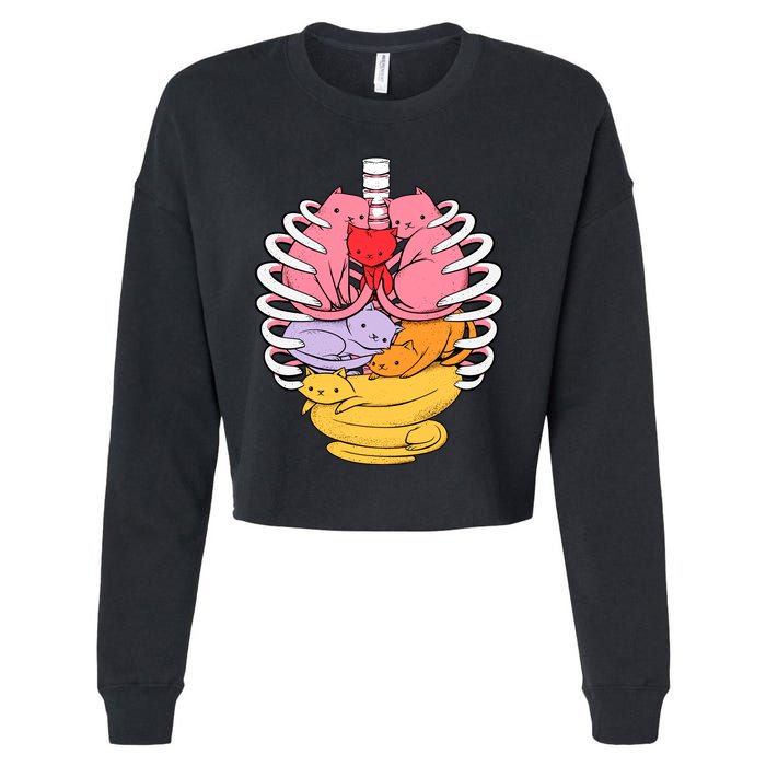 Anatomicat Is Perfect For Cat Lovers Cropped Pullover Crew