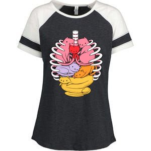 Anatomicat Is Perfect For Cat Lovers Enza Ladies Jersey Colorblock Tee