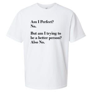 Am I Perfect Sueded Cloud Jersey T-Shirt