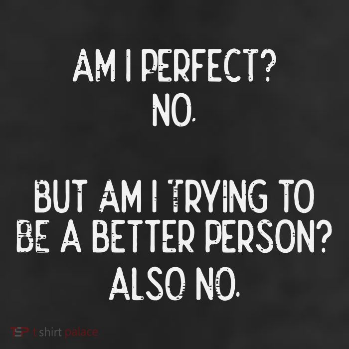 Am I Perfect No Trying Better Person Funny Sayings 11oz C Handle Ceramic Mug